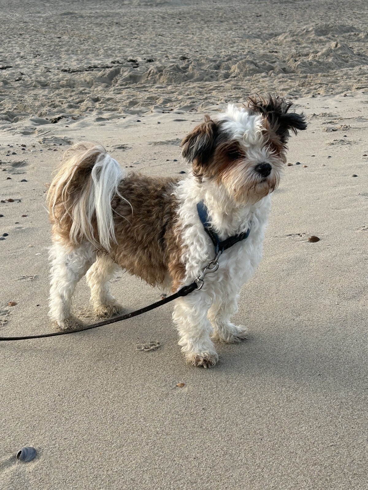 258a2feb-d26a-40f0-9ab2-fa03ceac4318