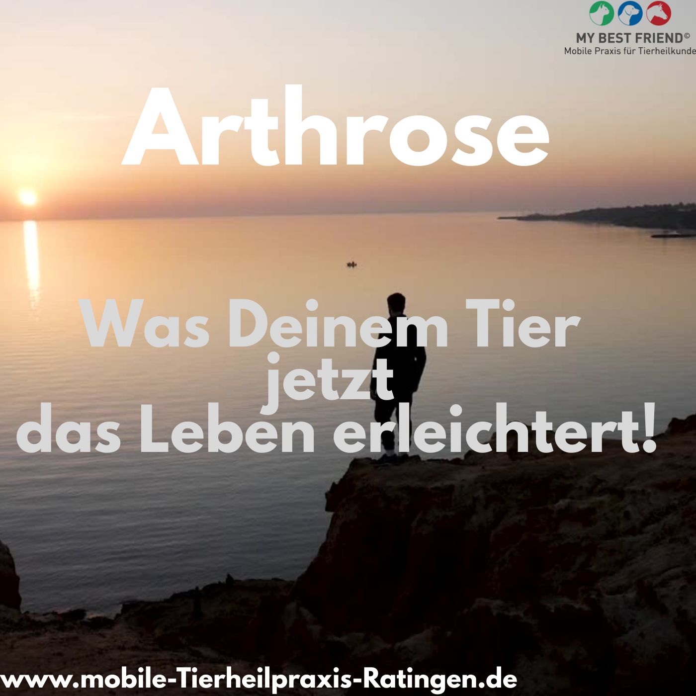 ArthroseSpotifythumbnail