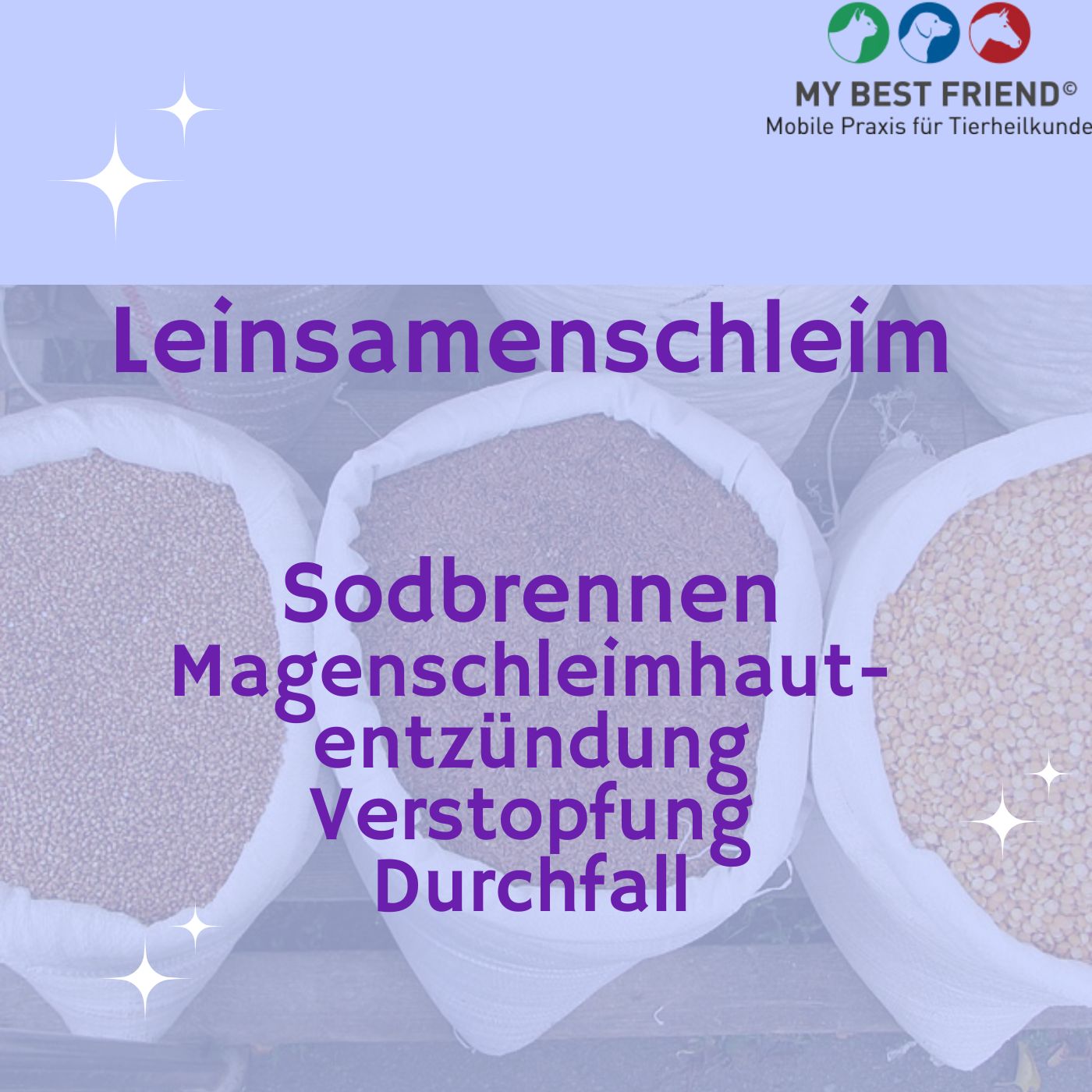 CoverLeinsamenschleim CoverLeinsamenschleim