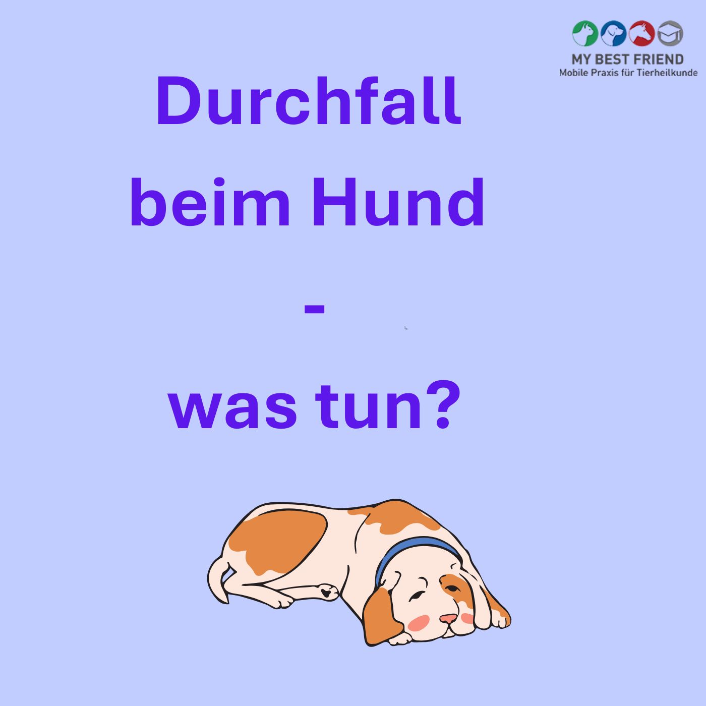 DurchfallbeimHund-(YouTube Shorts) (Album-Cover)