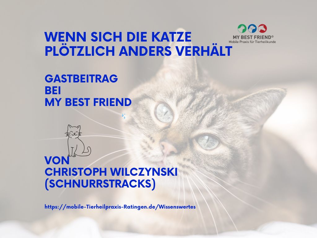 Gastbeitrag3(Präsentation (43))