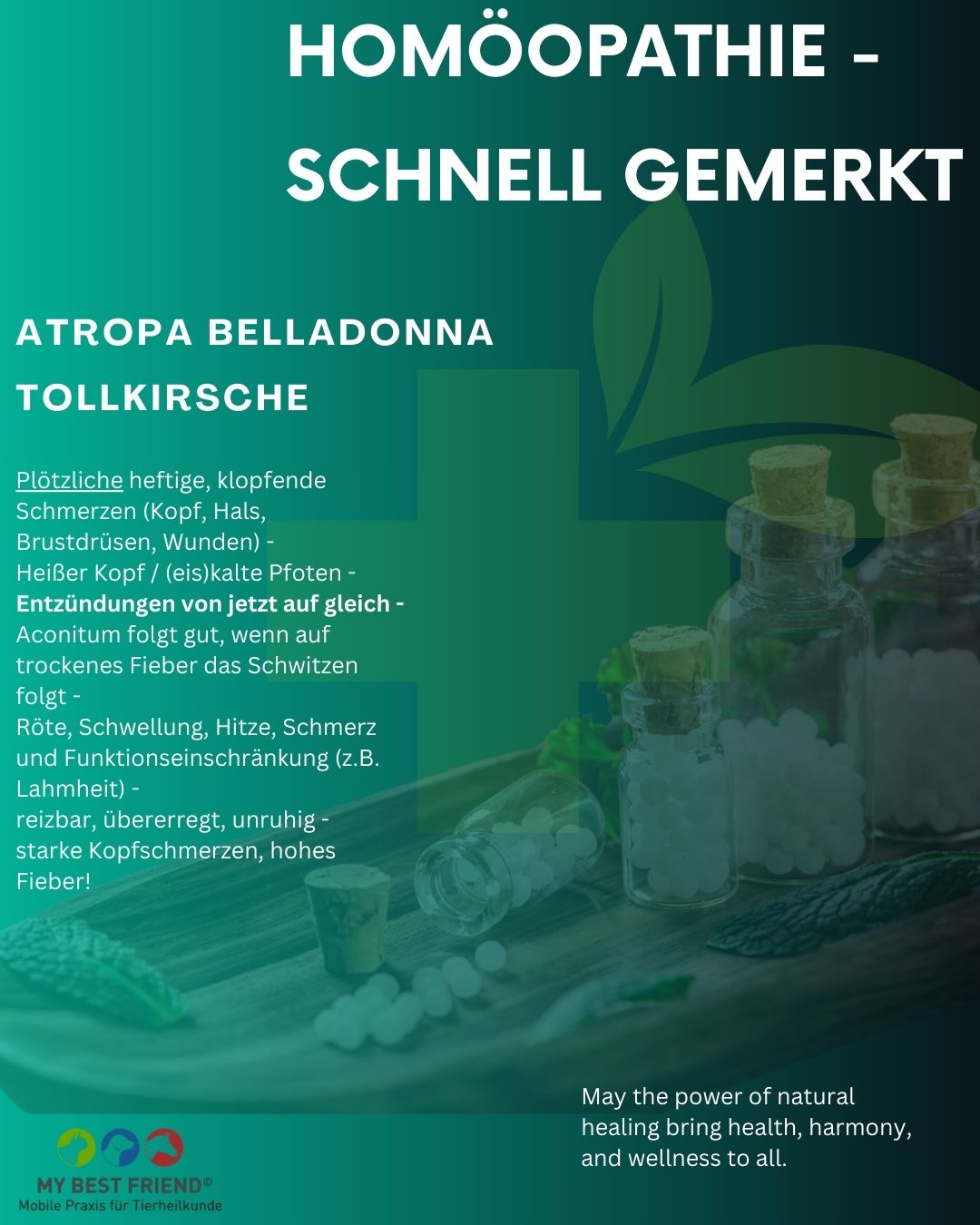 Homöopathie - schnell - Belladonna