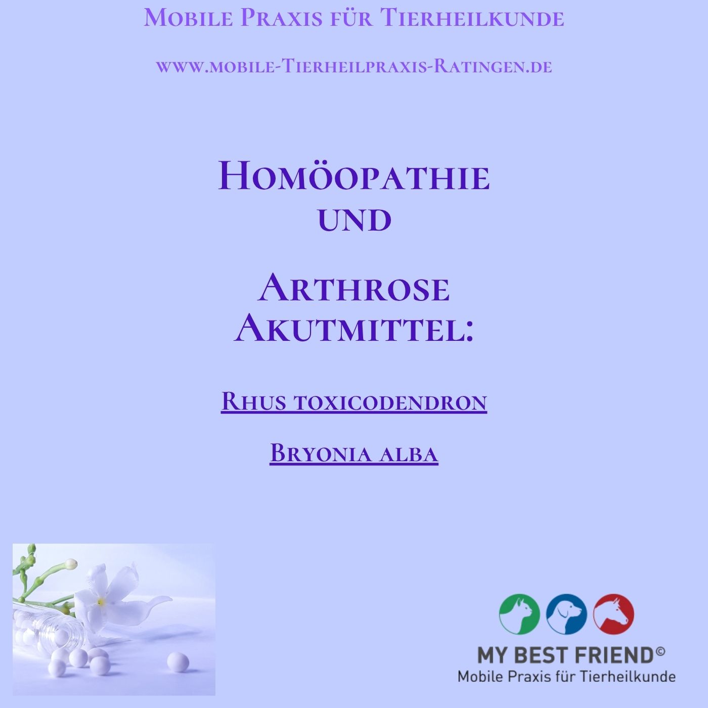 HomöopathieundArthrsoeKurzinfoSpotifythumbnail