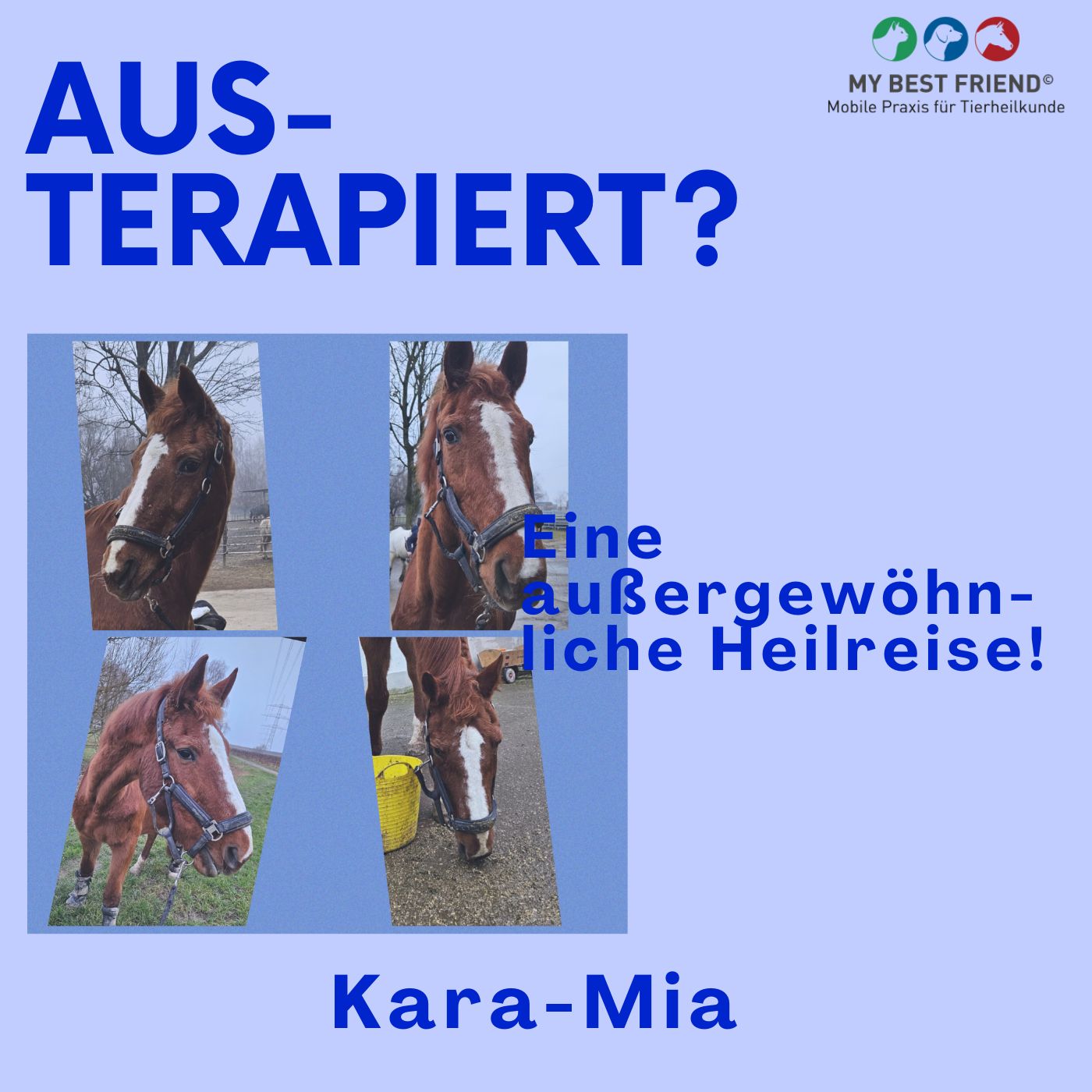 Kara-Mia (Album-Cover)