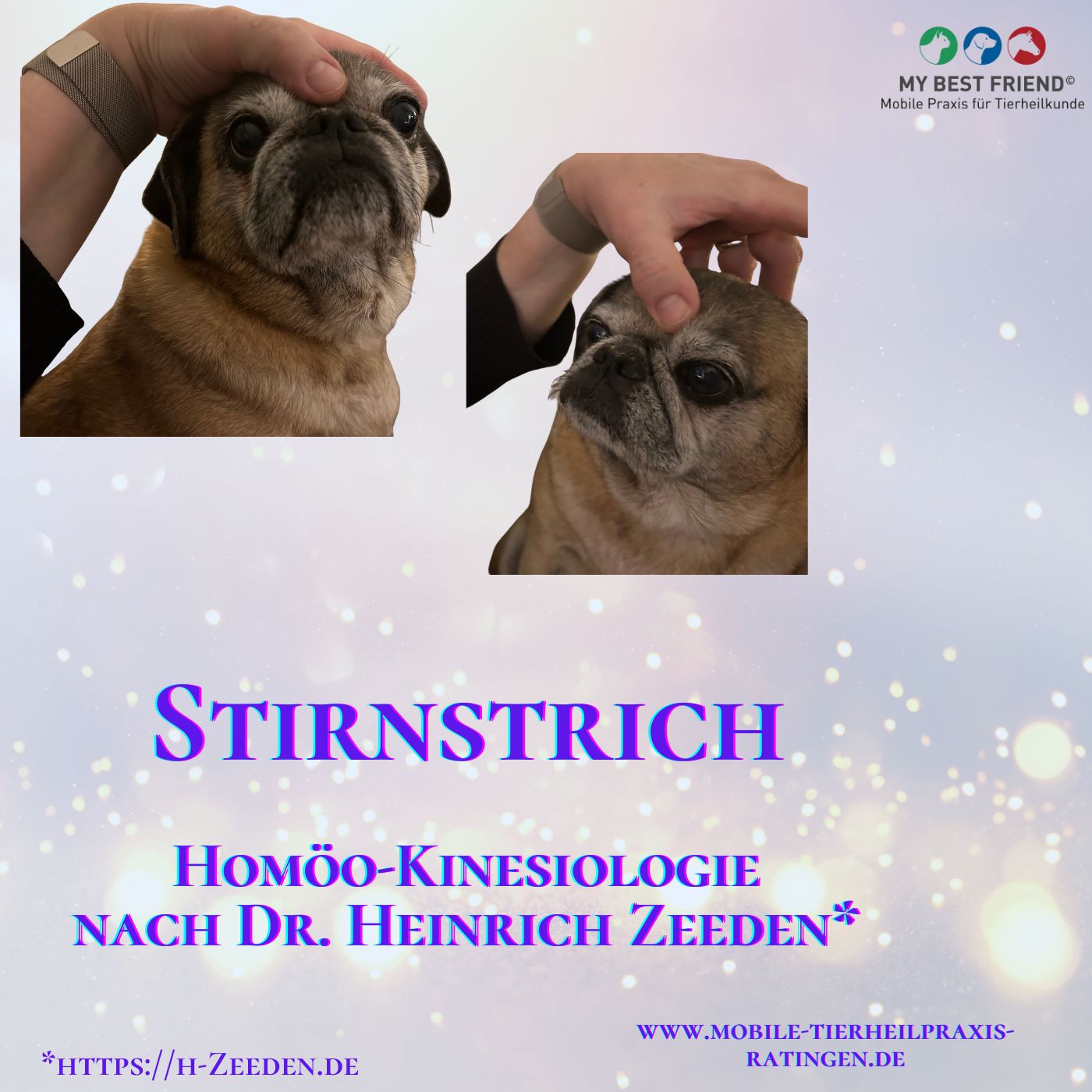 Kopie von Thumbnail Stirnstrich (Album-Cover)