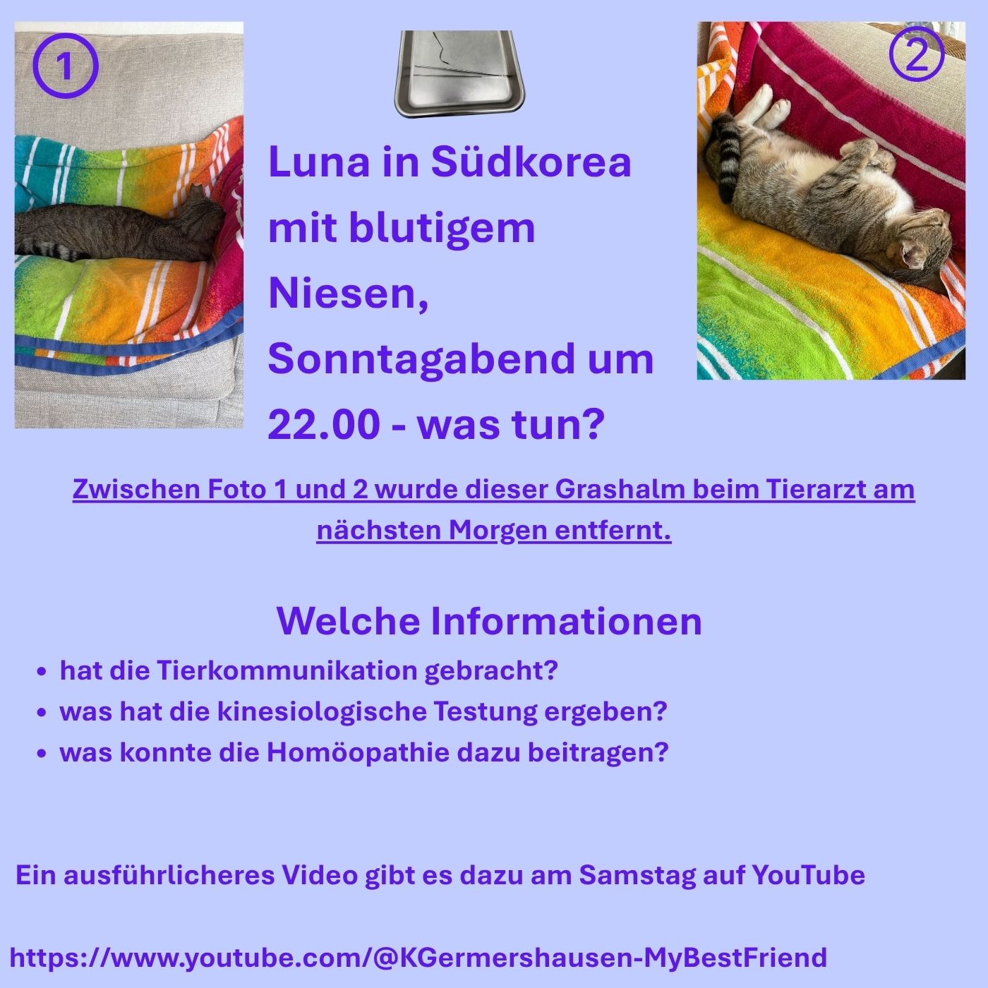 Luna Südkorea 2(Album-Cover)