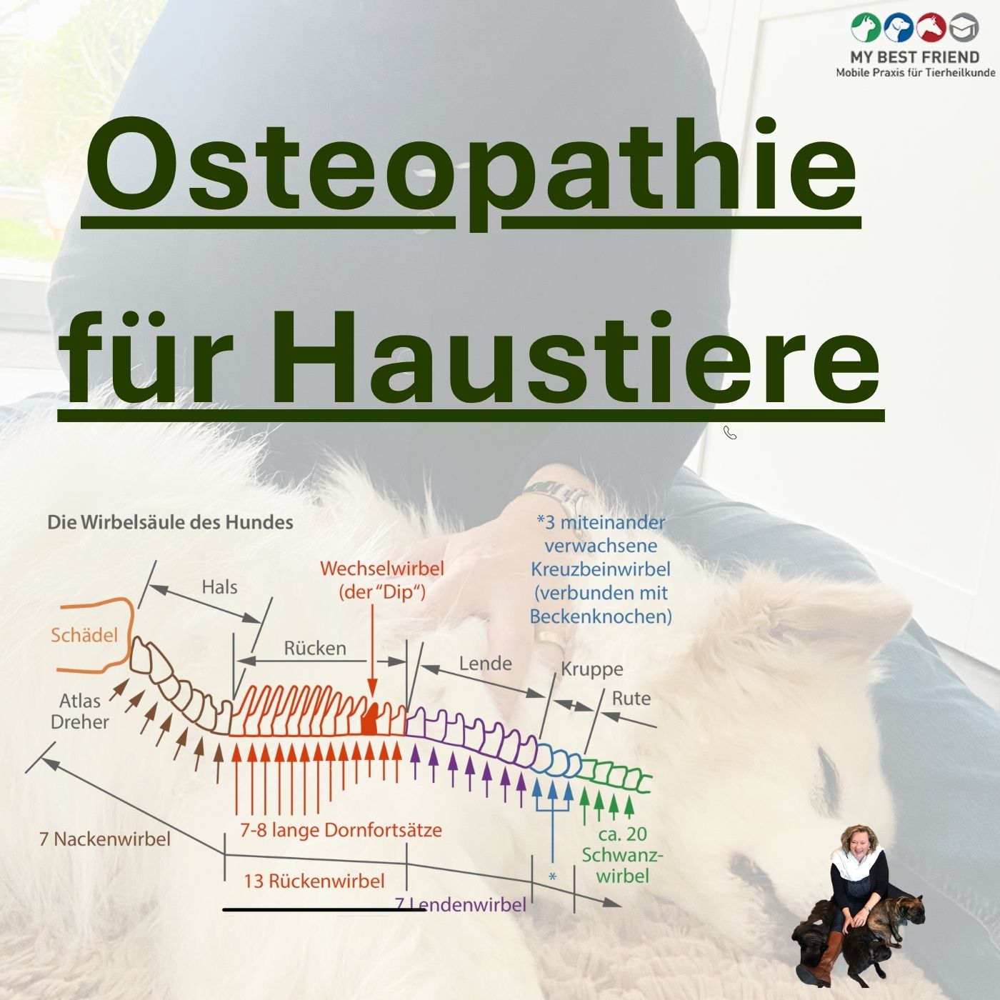 ShortOsteopathie(Smartphone-Video)2 (Album-Cover)