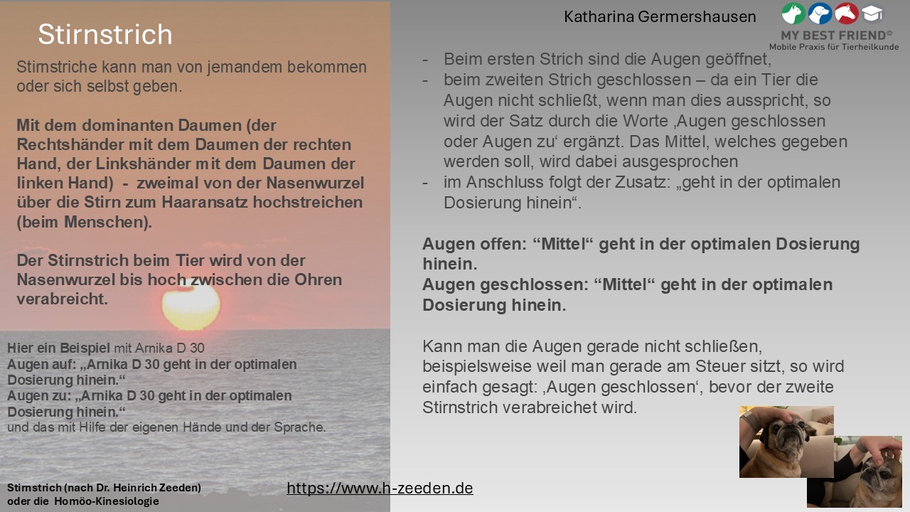 Stirnstrich Stirnstrich