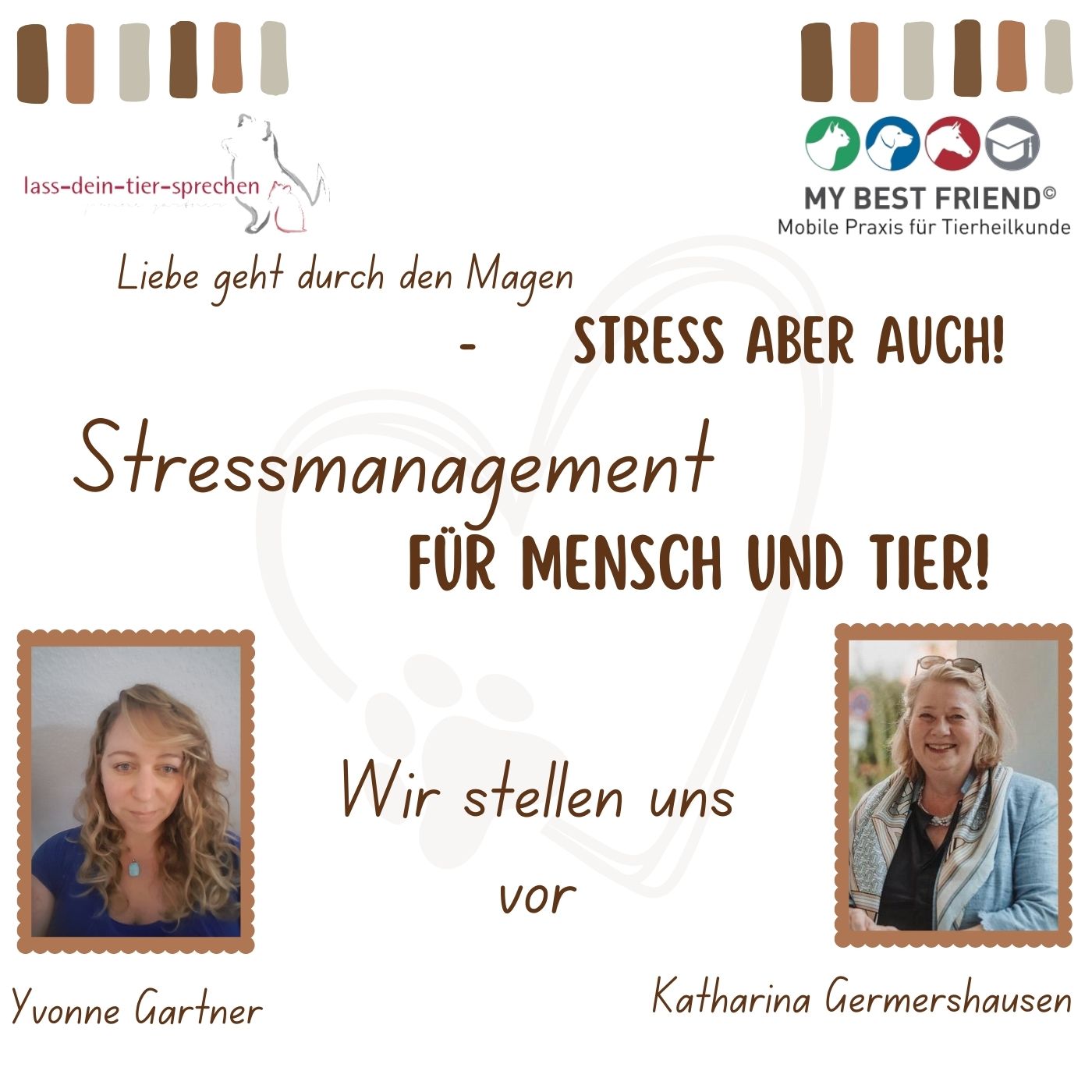Stress aber auch! (Spotify-Vorstellung) Stress aber auch! (Spotify-Vorstellung)