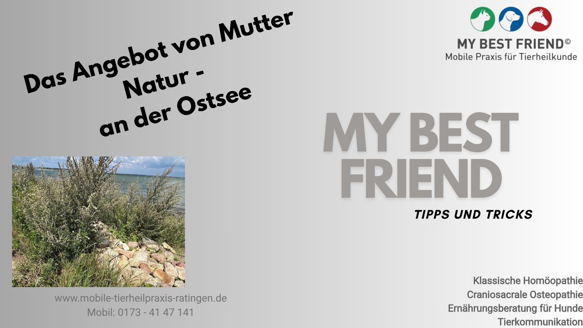 Thumbnail Mutter Natur Thumbnail Mutter Natur