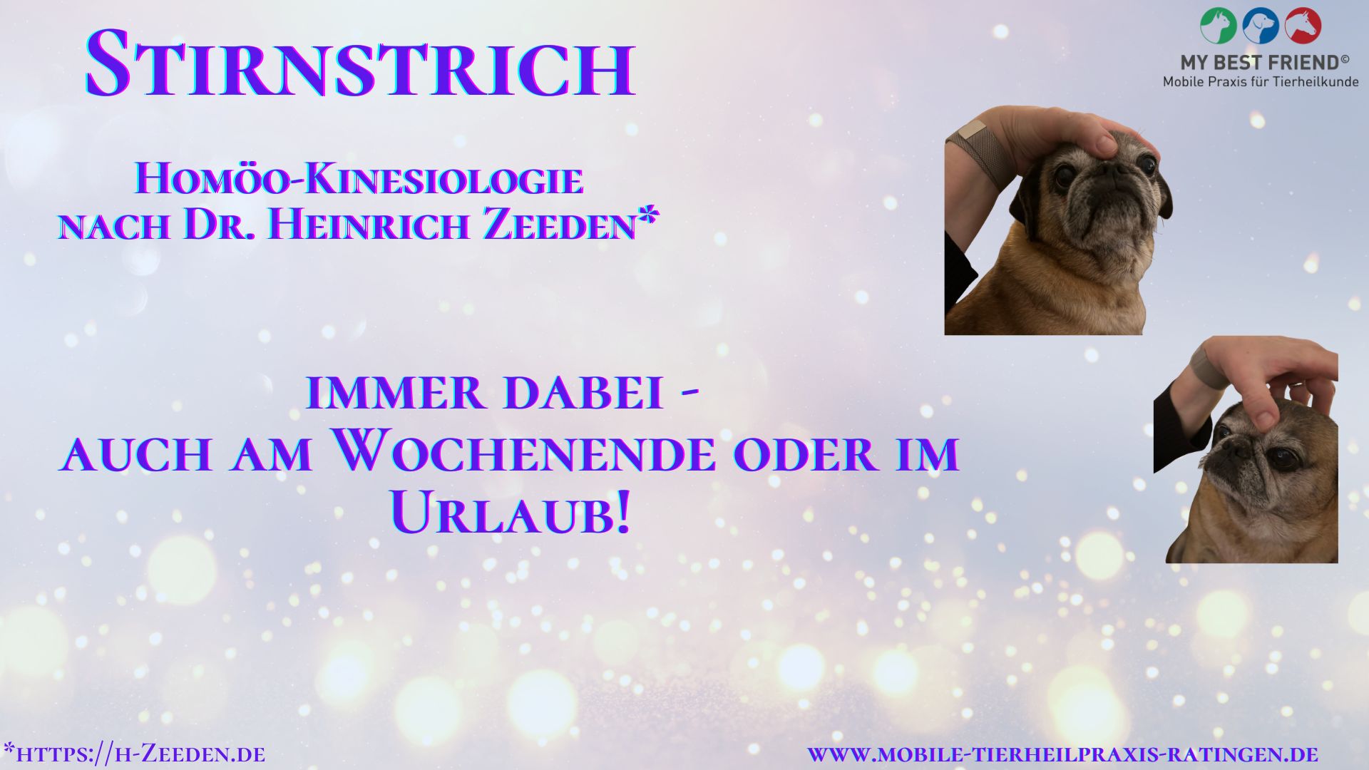 Thumbnail Stirnstrich Thumbnail Stirnstrich