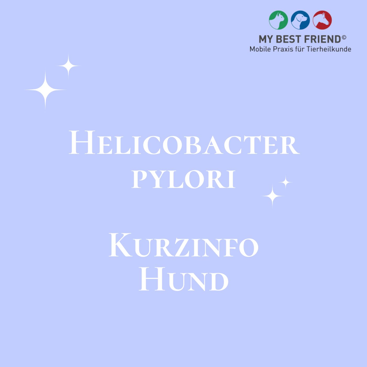 ThumbnailHelicobacter ThumbnailHelicobacter