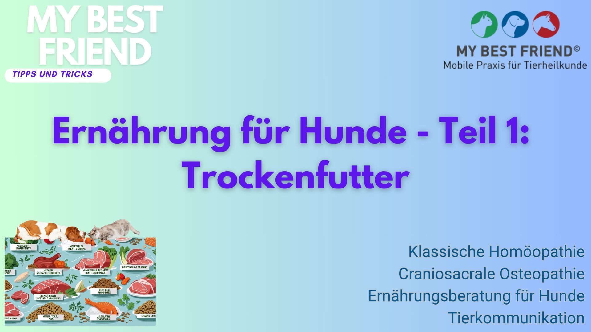 ThumbnailYouTube-Ernährung-Hunde,Teil1#