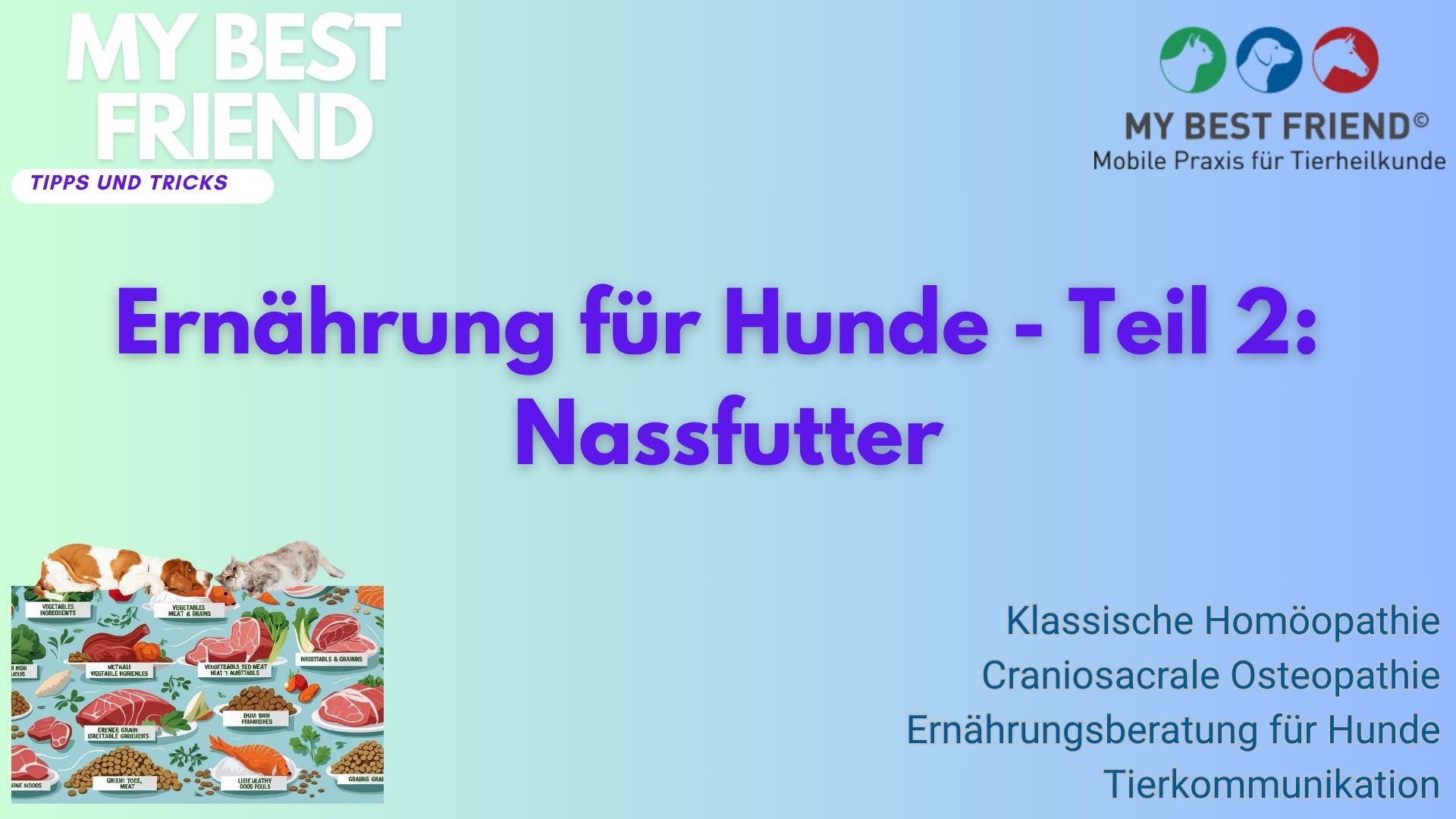 ThumbnailYouTube-Ernährung-Hunde,Teil2#