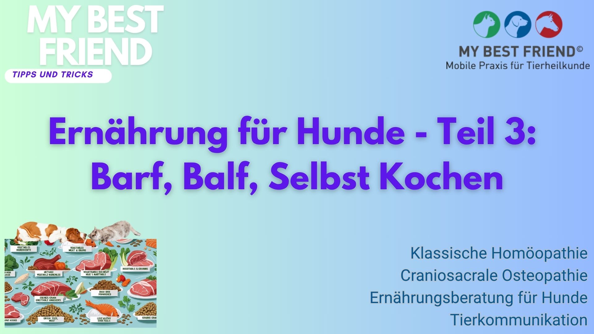 ThumbnailYouTube-Ernährung-Hunde,Teil3# ThumbnailYouTube-Ernährung-Hunde,Teil3#