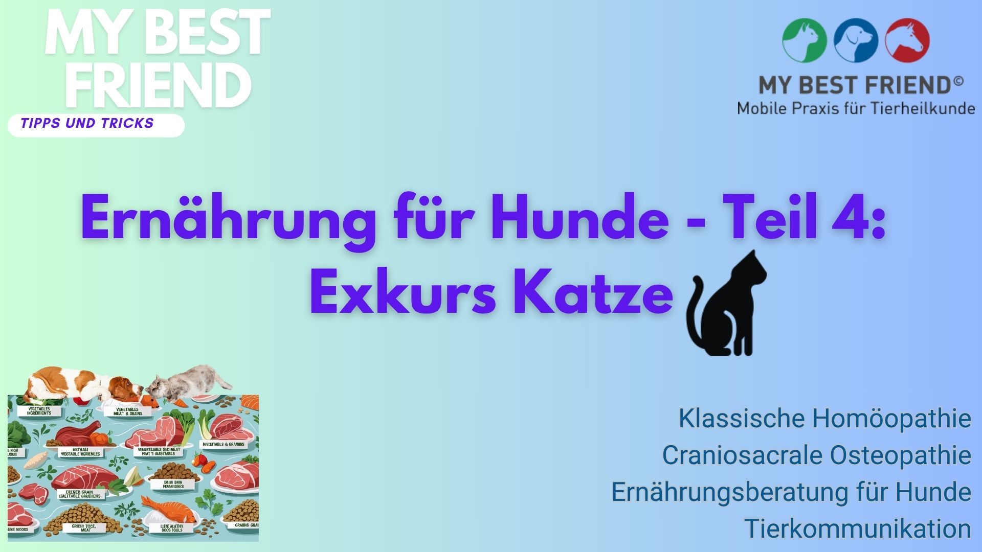 ThumbnailYouTube-Ernährung-Hunde,Teil4a-Katze