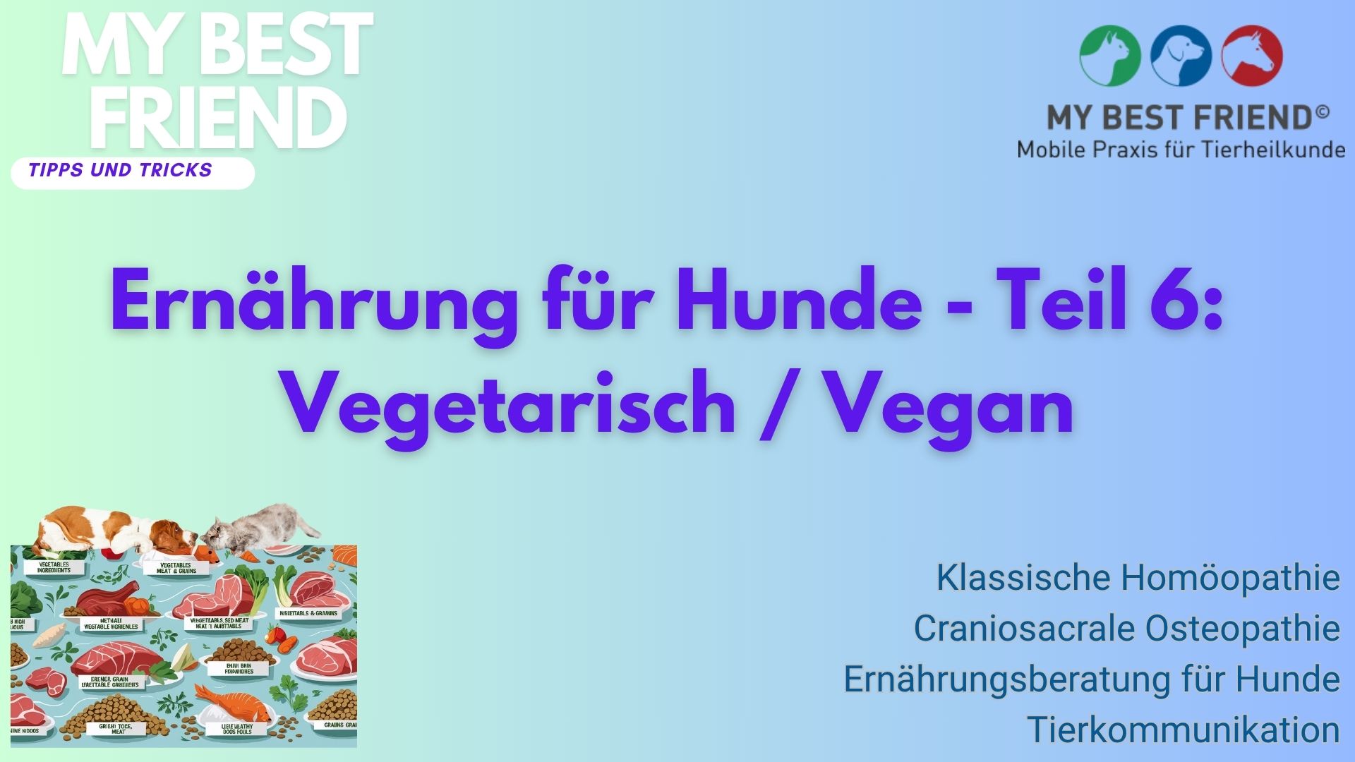ThumbnailYouTube-Ernährung-Hunde,Teil6a