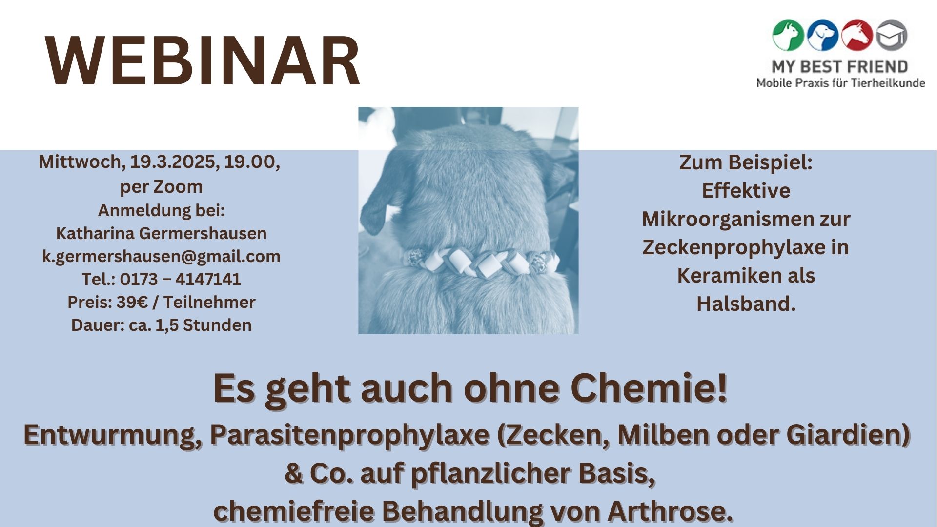 WEBINAR-ohneChemie03-25