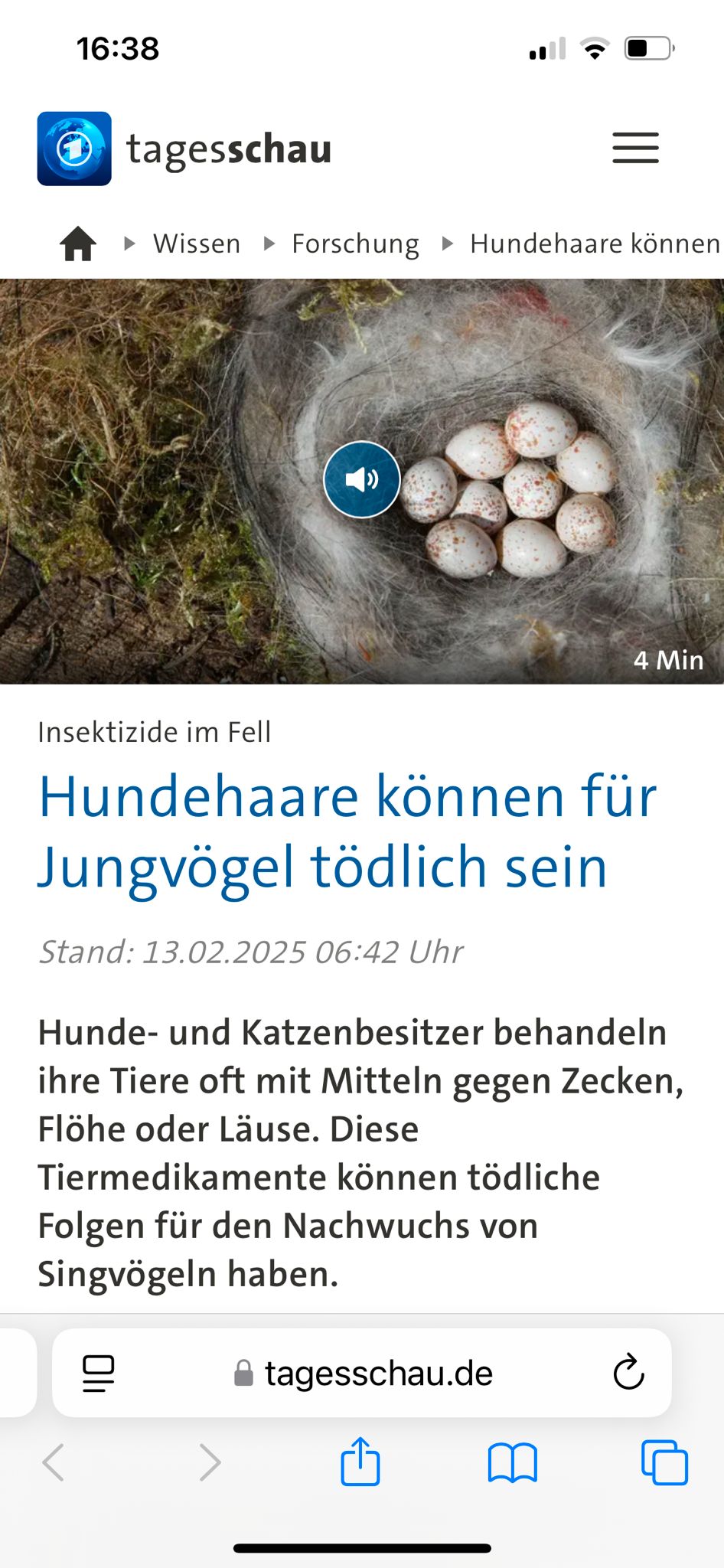 WhatsApp Image 2025-02-13 at 16.39.32