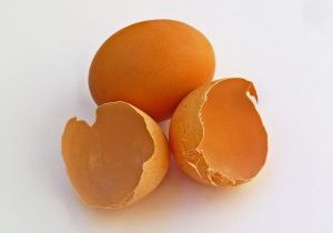 1024px-Eggshell_001