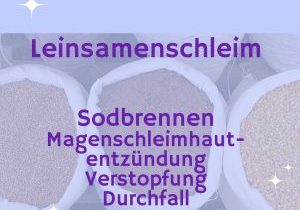 CoverLeinsamenschleim CoverLeinsamenschleim