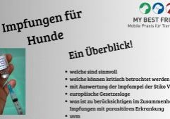 Impfungen für Hunde