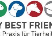 MBF_Logo_RGB-L MBF_Logo_RGB-L