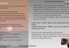 Stirnstrich Stirnstrich