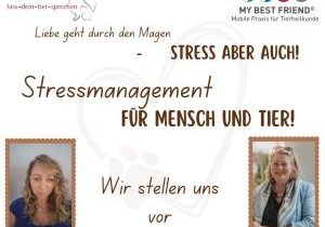 Stress aber auch! (Spotify-Vorstellung) Stress aber auch! (Spotify-Vorstellung)