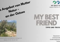 Thumbnail Mutter Natur Thumbnail Mutter Natur