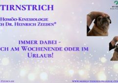 Thumbnail Stirnstrich Thumbnail Stirnstrich