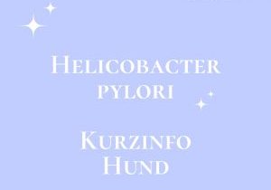 ThumbnailHelicobacter ThumbnailHelicobacter