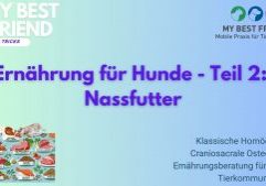 ThumbnailYouTube-Ernährung-Hunde,Teil2#