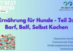 ThumbnailYouTube-Ernährung-Hunde,Teil3# ThumbnailYouTube-Ernährung-Hunde,Teil3#
