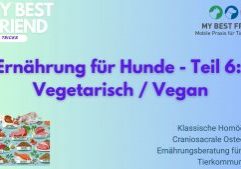 ThumbnailYouTube-Ernährung-Hunde,Teil6a ThumbnailYouTube-Ernährung-Hunde,Teil6a