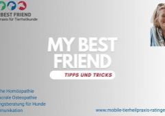 outube Thumbnail My Best Friend