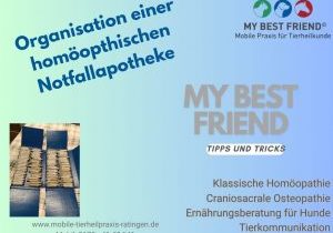 thumbnailNotfallapotheke thumbnailNotfallapotheke