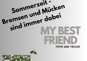thumbnailspotifysommerzeit thumbnailspotifysommerzeit