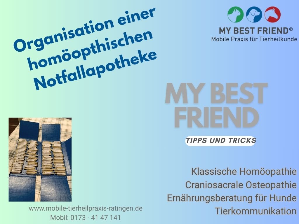 thumbnailNotfallapotheke thumbnailNotfallapotheke