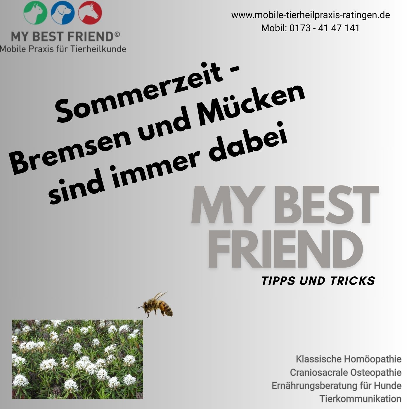 thumbnailspotifysommerzeit thumbnailspotifysommerzeit